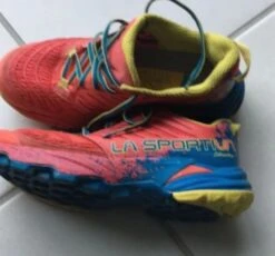 La Sportiva Ortolite